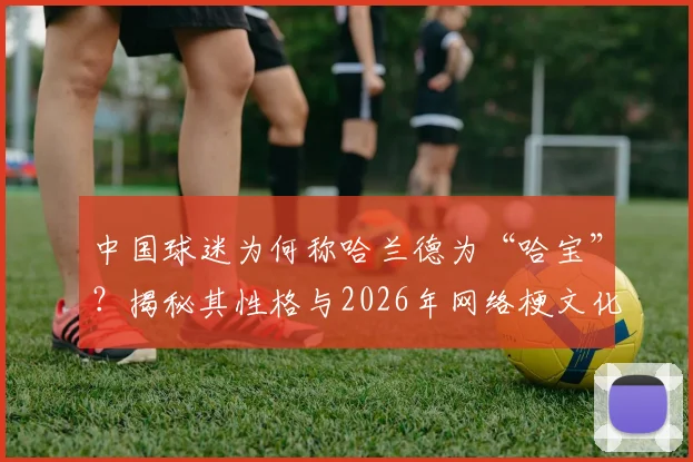 中国球迷为何称哈兰德为“哈宝”？揭秘其性格与2026年网络梗文化的奇妙契合点