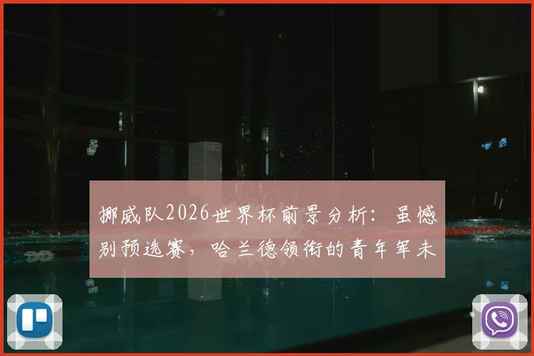 挪威队2026世界杯前景分析：虽憾别预选赛，哈兰德领衔的青年军未来仍值得期待