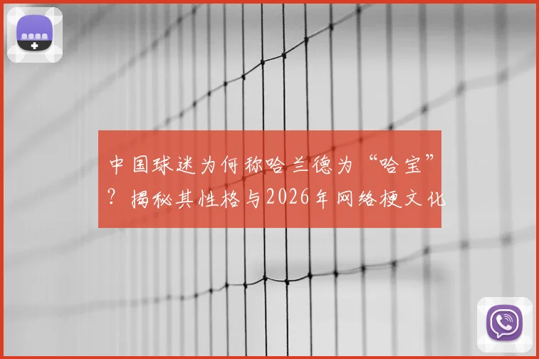 中国球迷为何称哈兰德为“哈宝”？揭秘其性格与2026年网络梗文化的奇妙契合点